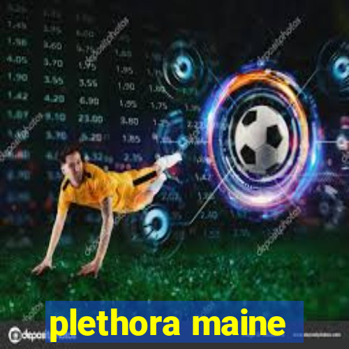 plethora maine